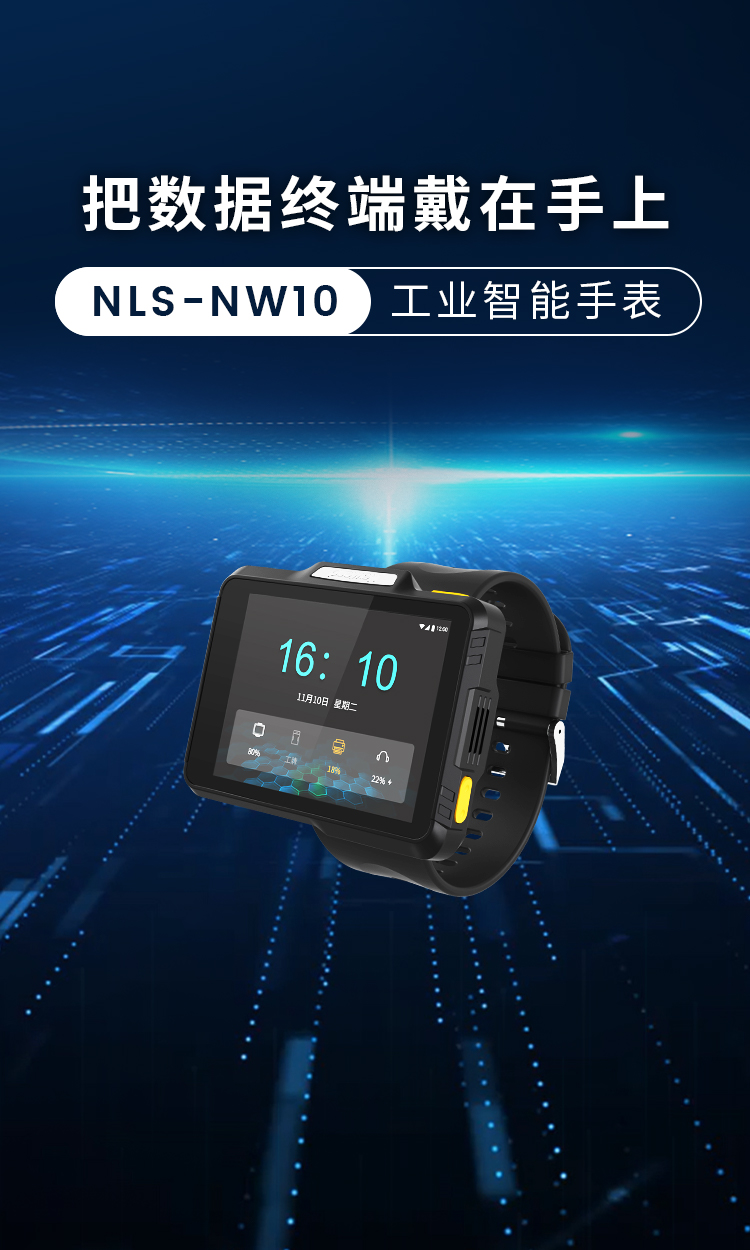NLS-NW10